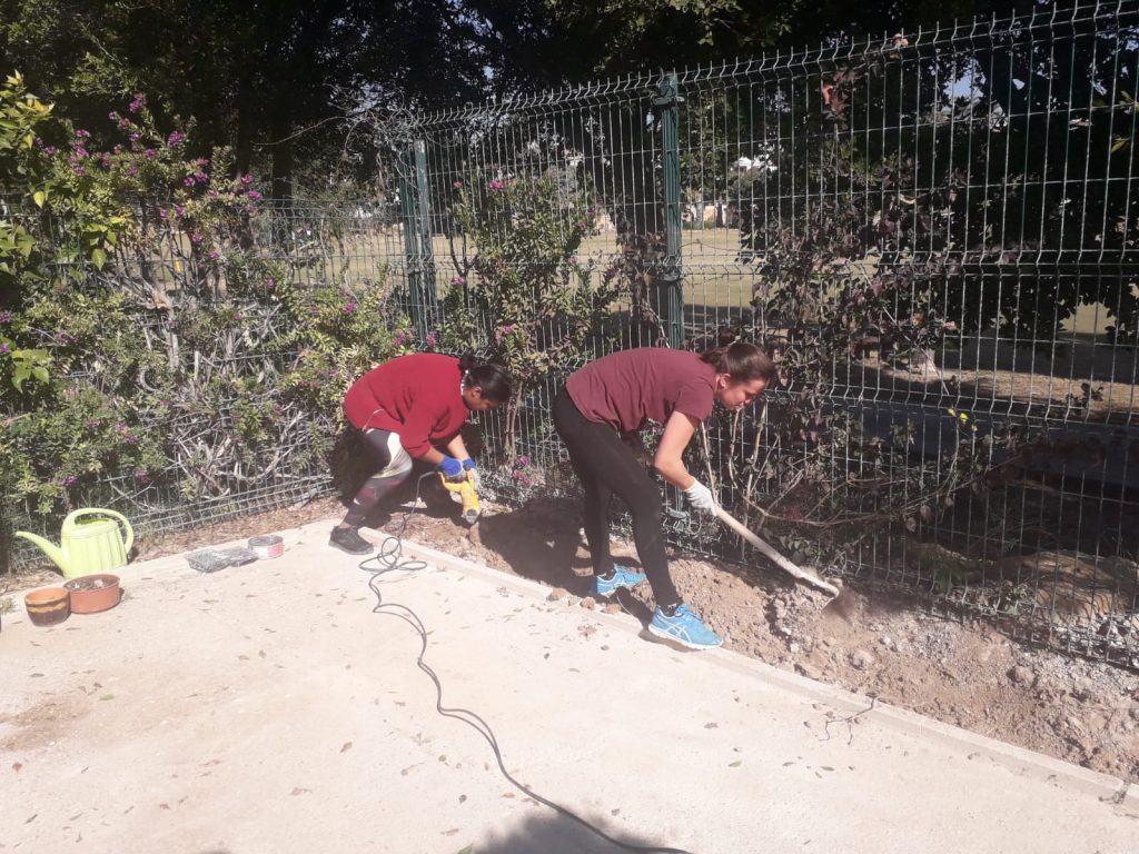 CAM ALICANTE II ESTRENA SU PEQUEÑO HUERTO foto noticia