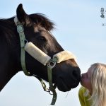 intervención asistida caballos somllar