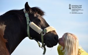 intervención asistida caballos somllar