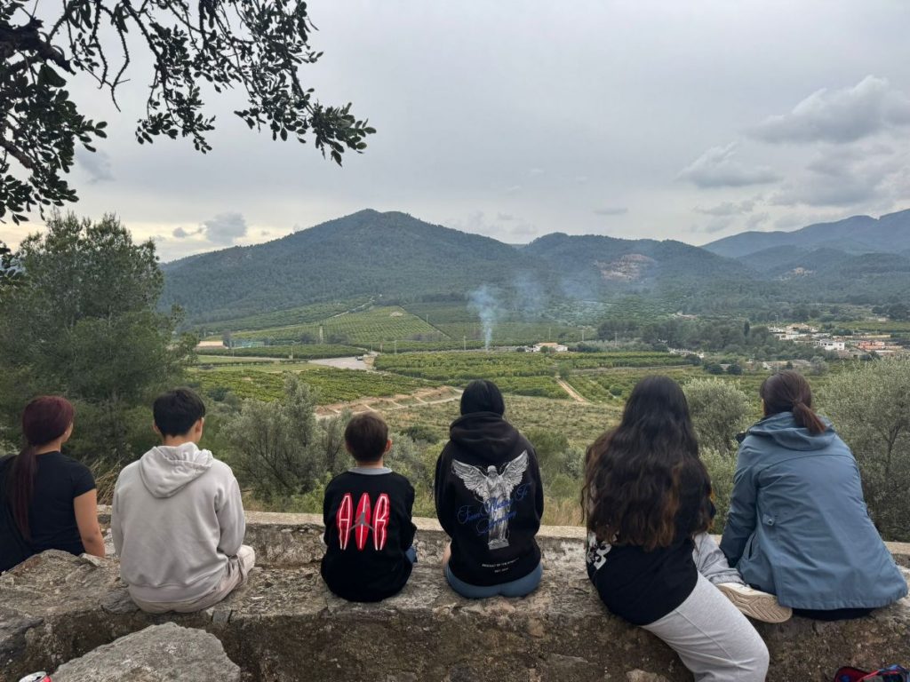 somllar castellón eco eco medio ambiente