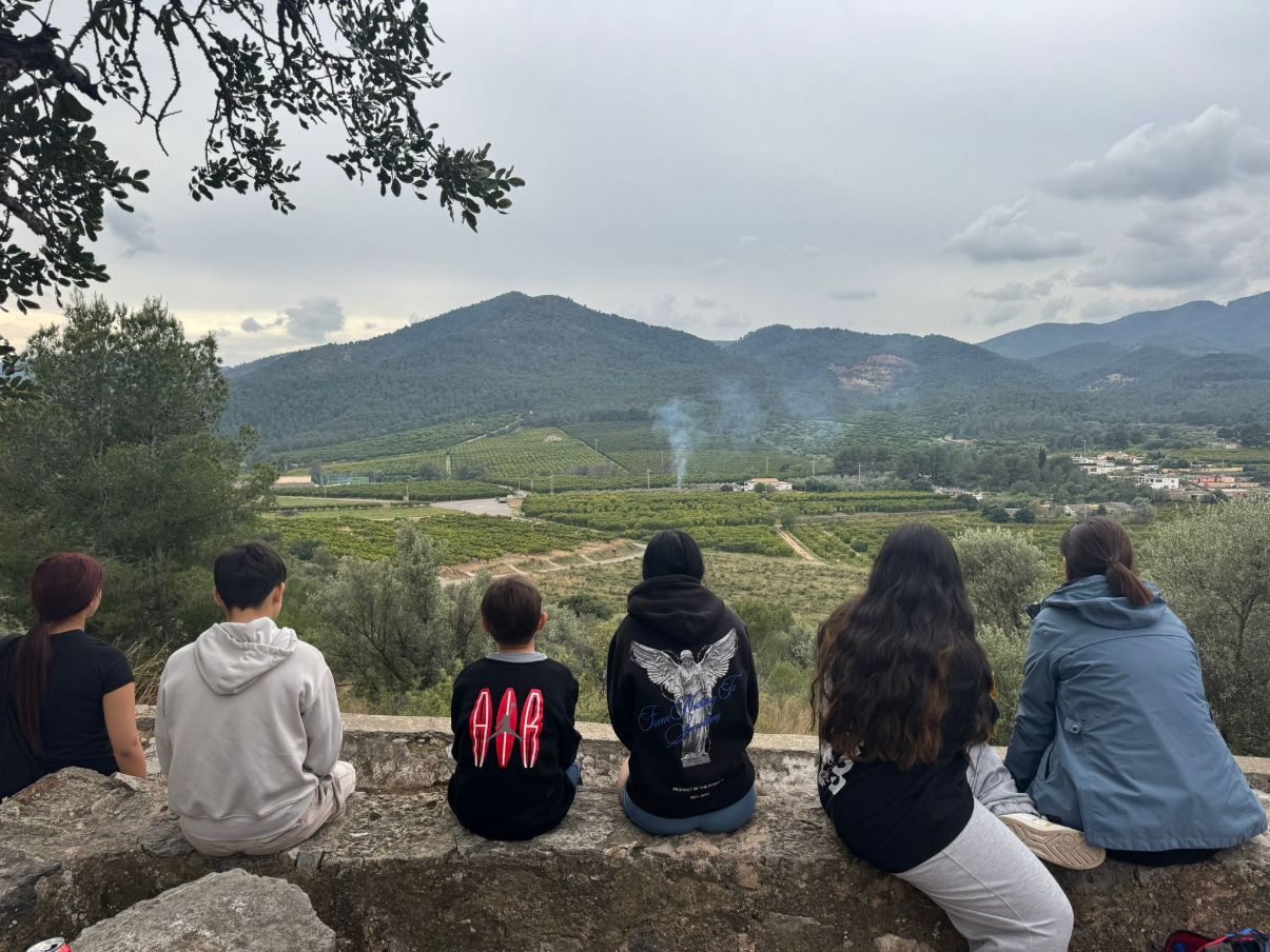 somllar castellón eco eco medio ambiente